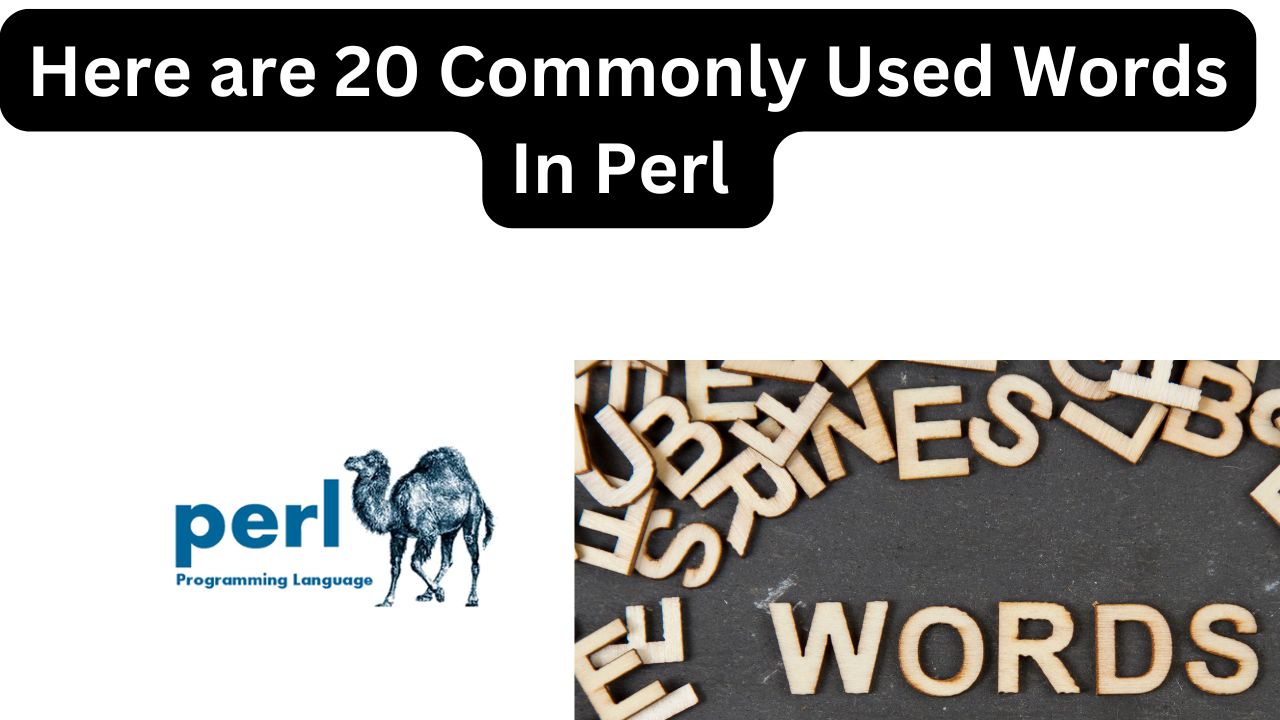 Here are 20 Commonly Used Words In Perl